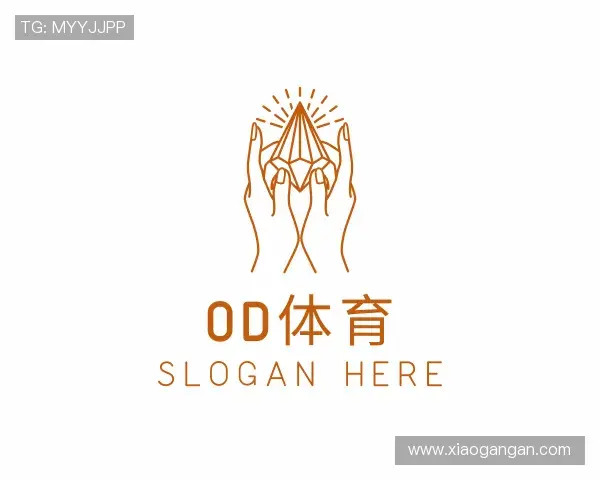 了解OD体育官网